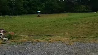 Original Boyfriend Cutting Grass with Beach Umbrella
