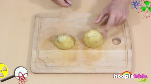 Can you believe it! Cool Science Experiment - Potato Battery