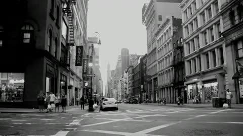 new york city video place j