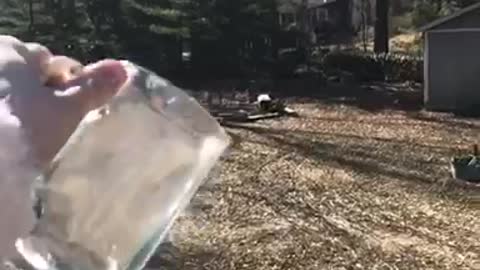 Boiling water experiment during the 2019 Polar Vortex