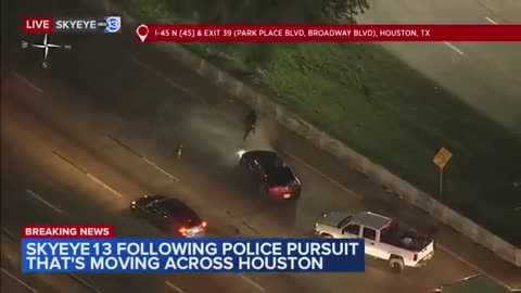 FULL: Dodge Charger 100mph police chase. Dog runs with suspect after I-45 Gulf Freeway fiery crash