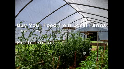 Win by Buying Food from Your Local Farm