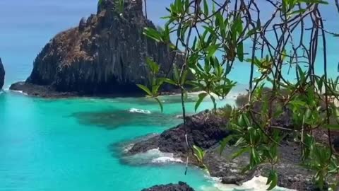 Fernando de Noronha Brazil !