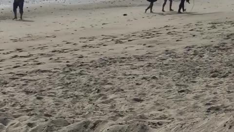 Guy filming behind two girls and guy with surfboard on beach