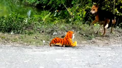 Dog vs Tiger toy. #1