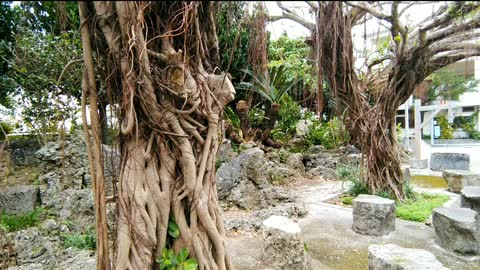 Ishigaki Shrine