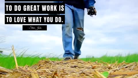 The Only Way to do Great Work is to Love What You Do
