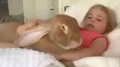 moments of happiness for bunnies and toddlers... it's cute.