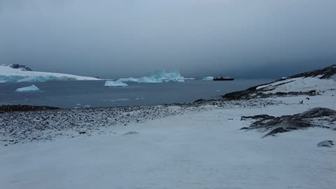 Cuverville Island, Antarctica