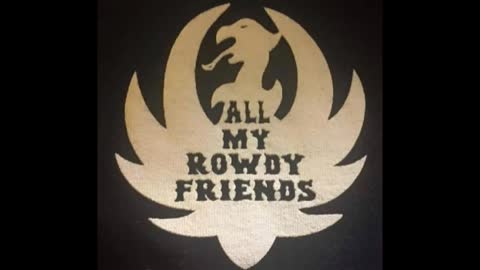 Hank Williams Jr ~ All My Rowdy Friends