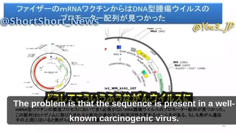 Japanese Professor Discovers Pfizer Jab Causes Cancer