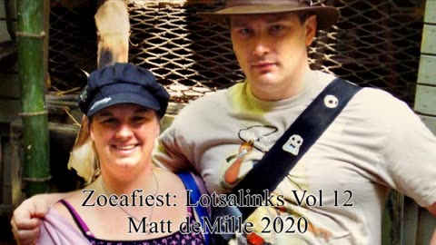 Matt deMille: Lotsalinks V12