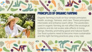 Organic Farms: A New Way of Farming