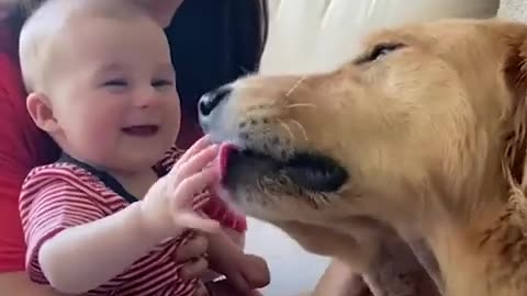 Newborn and Dog become best friends