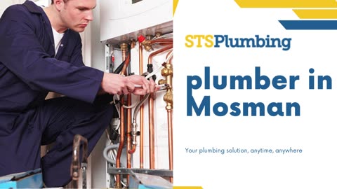 Seamless Plumbing Excellence: Your Expert Plumber in Mosman