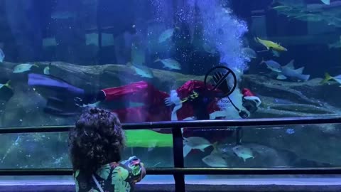 Papá Noel se da un chapuzón entre tiburones en Río de Janeiro