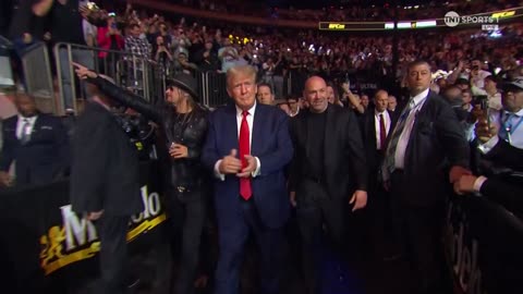 Trump and Tucker are at UFC tonight