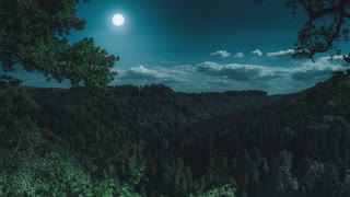 Relaxing Ambient Sleep Music