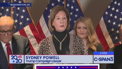 Sidney Powell Releases the Voter Fraud Kraken On Media