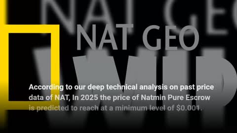 Natmin Pure Escrow Price Prediction 2022, 2025, 2030 NAT Cryptocurrency Price Prediction
