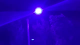 Black lights in Seal Beach California. It’s real.