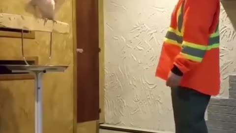 Angry parrot on his owner 😠😠😡