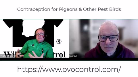 Birth Control for Pigeons Talking OvoControl with Erick Wolf of Innolytics, LLC