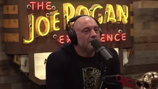 Joe Rogan & Adam Curry On The Corruption of MTV