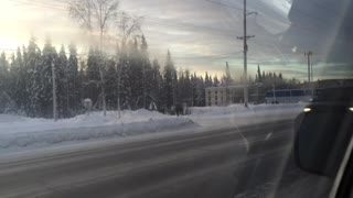 A Moose Family Was Trying To Cross the Street in Fairbanks, Alaska (2/2)