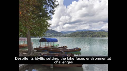 Lake Maracaibo: Venezuela's Natural Wonder and Ecological Challenge