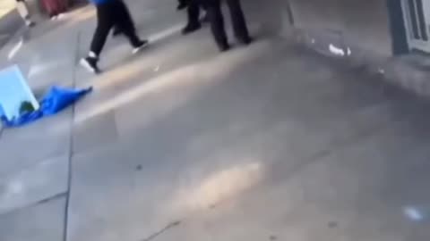 Transient fights 2 LAPD officers and gets tased as backup arrives.