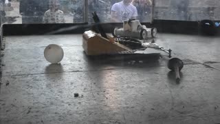 BBB Northdown Havoc 2023: Acolyte Vs Timingila Vs My First Sportsman Bot