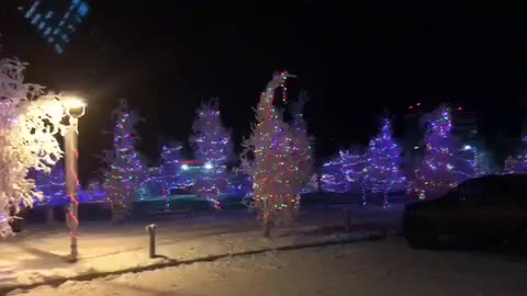 Fairytale Christmas tree park