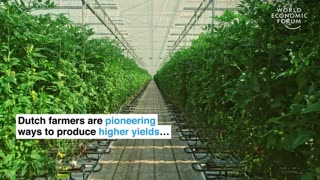 Pioneering in Food Revolution