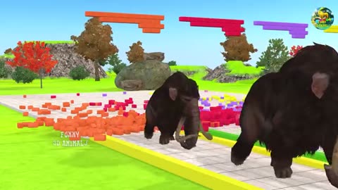 Choose The Right Wall With Elephant Gorilla Buffalo Zebra Hippopotamus Wild Animal Matching Game