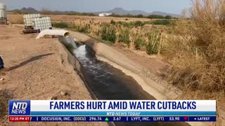 Farmers Hurt Amid Water Cutbacks