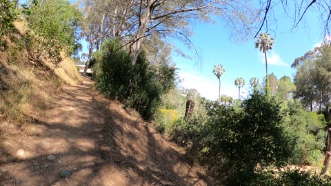 Hiking Presidio Park San Diego...