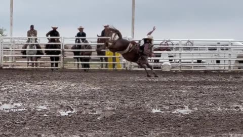 Learning to Ride Saddle Broncs