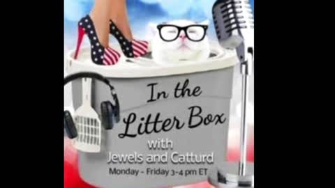 Mindy Robinson - In the Litter Box w/ Jewels & Catturd 2/16/2022 - Ep. 21