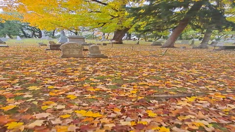 Oak Grove Cemetery in Lacrosse, Wisconsin appreciating our Vets.