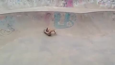 Bulldog Skateboarding