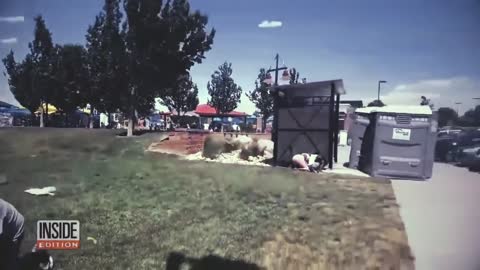 Flying Porta Potty TARDIS