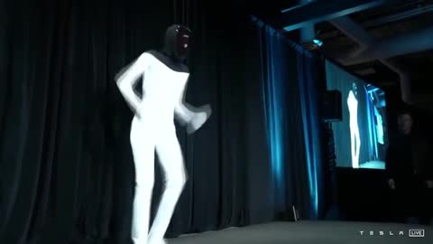 Tesla Bot: Elon Musk reveals a humanoid TESLA ROBOT