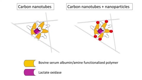 Carbon Nanotube Biohybrids for Electrochemical Biosensor Applications | Irfani Ausri - Waterloo Institute of Nano-Technology 2020)