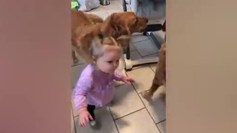 Funny dog and babies 😅😅