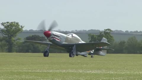 Shark Squadron Mustangs