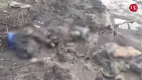 "Dead Russians scattered on muddy road" – Invaders' armored car full of soldiers turned into ashes