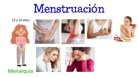 👩 ¿Qués es la Menstruación 📅 [Fácil y Rápido] BIOLOGÍA