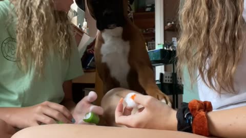 Boxer Is Ready For a Manicure