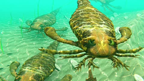 Deadly sea animals you'd be glad are extinct